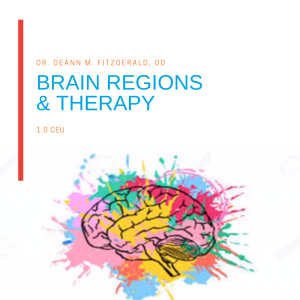 Brain Regions and Therapy