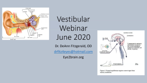 Vestibular Webinar Series