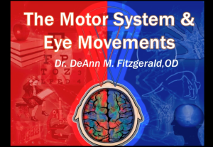 The Motor System & Eye Movements