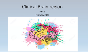 Brain Regions: Part I - IV