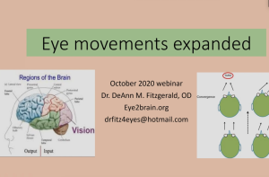 Eye Movements Expanded