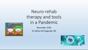 Neuro-Rehab Therapy and Tools in a Pandemic