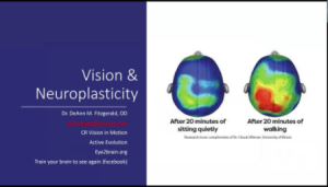 Vision & Neuroplasticity Video