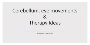 Cerebellum, Eye Movements, & Therapy